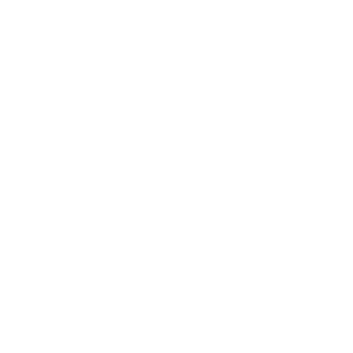 BLUE SUN IMMIGRATION Website Icon White Transparent